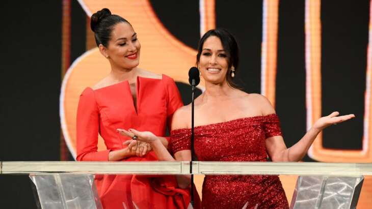 Brie Bella só aceita retornar a WWE com uma condição
