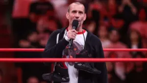 cm punk 2