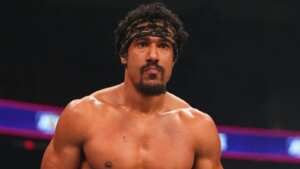 ar fox scaled