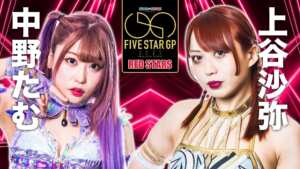 stardom 1 scaled