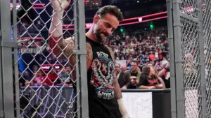 cm punk 2