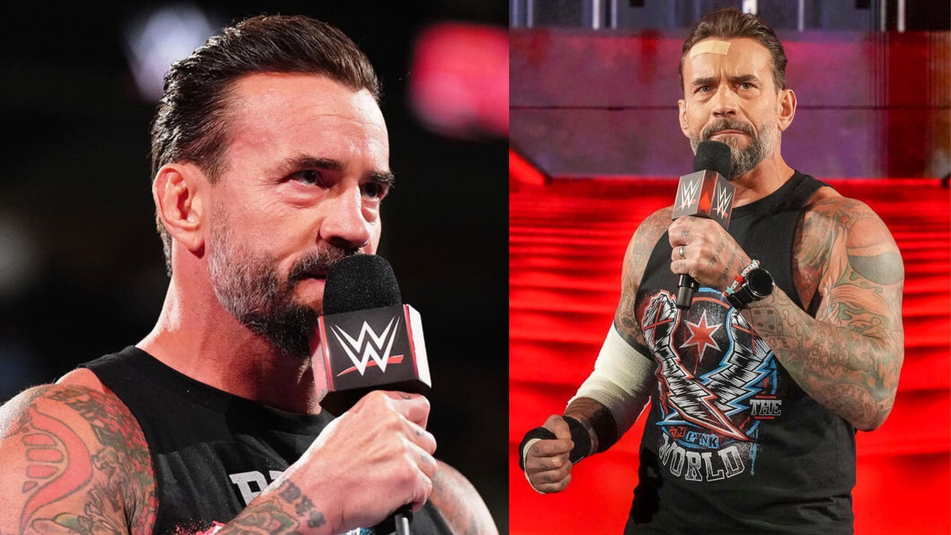 Popular star to finally return to WWE after 9 years; confrontation with major champion? - 4 things CM Punk could do at Survivor Series 2024