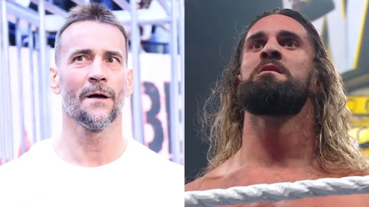 seth rollins and cm punk