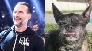 CM Punk e AJ Lee anunciam morte de Larry, cachorro popular na WWE