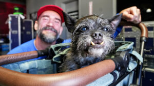 WWE emite comunicado em seu site após o falecimento de Larry