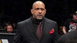 MVP critica combates “intergender” e diz que o formato “não tem credibilidade”