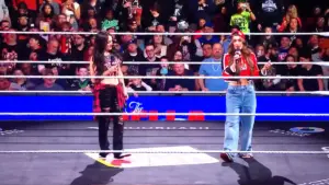 The Bella Twins fazem grande anúncio no WWE RAW