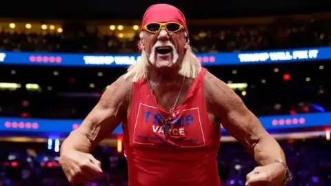 hulk hogan