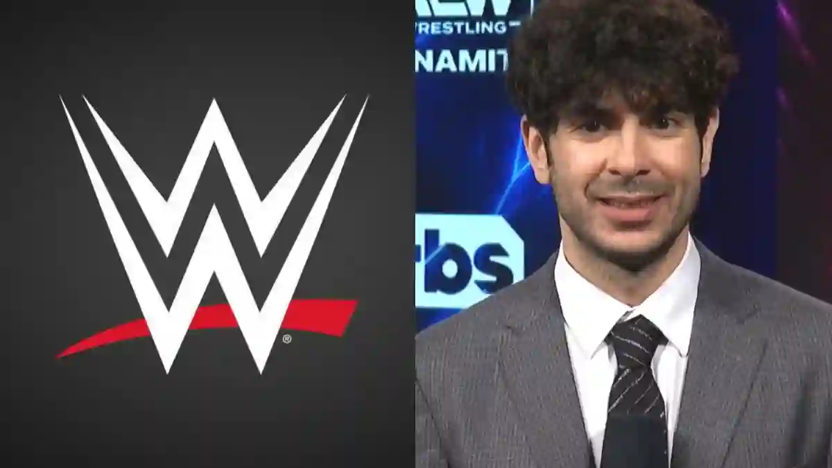 Dave Meltzer Explains How WWE-TNA Partnership Could Hurt AEW