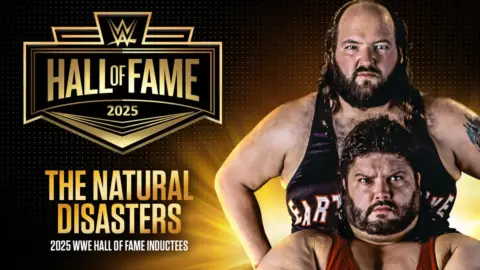 WWE Announces Legendary Tag Team for Hall of Fame Induction