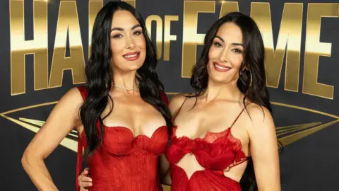 WWE May Have Subtly Confirmed Brie Bella’s Return