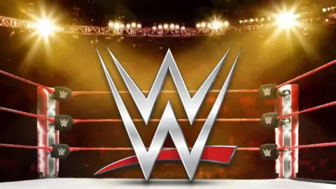 Current WWE Champion Announces Pregnancy