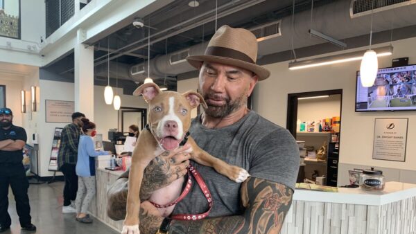 Natalya Reveals Dave Bautista Donation Led To Arrest In Animal Abuse Case