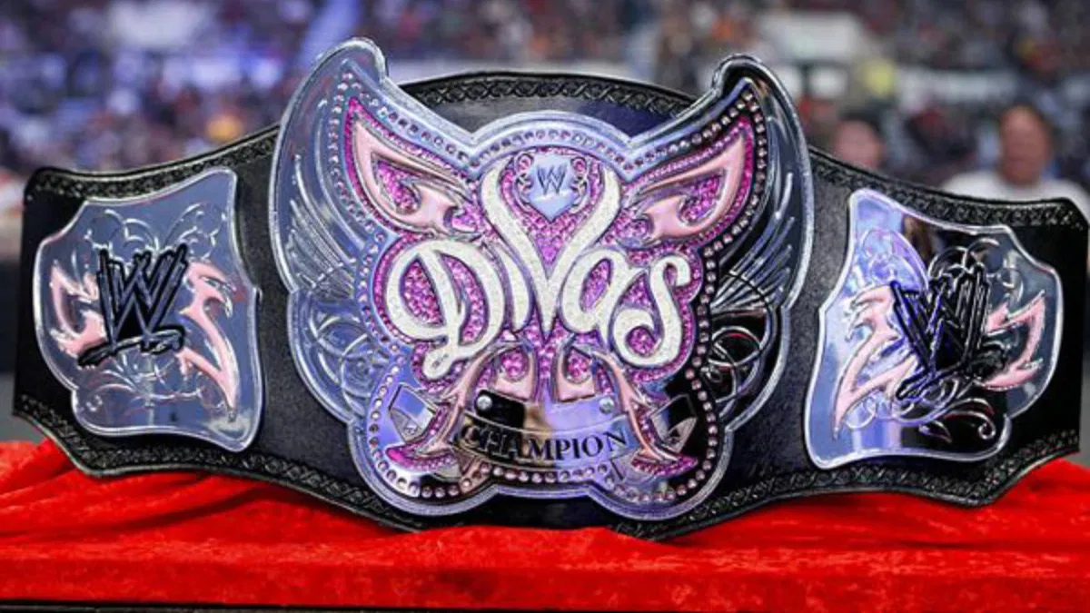 Former Divas Champion Breaks Silence On WWE Return