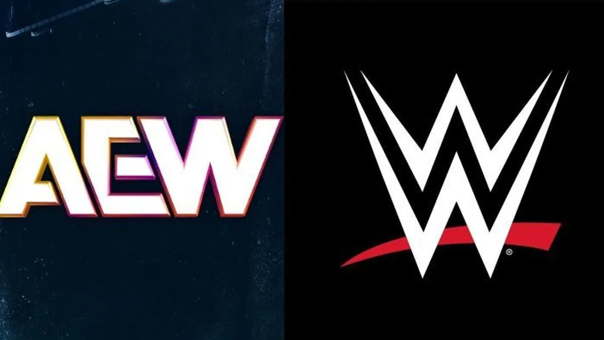 AEW Star Says They Have “Zero Respect” For Triple H