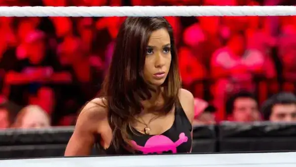 Former WWE United States Champion Faces Fan Backlash Over Controversial AJ Lee Comments