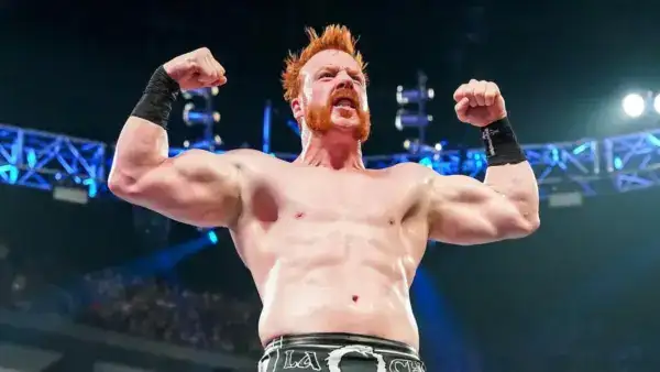 Sheamus Involved in Fan Incident Before WWE Clash in Paris