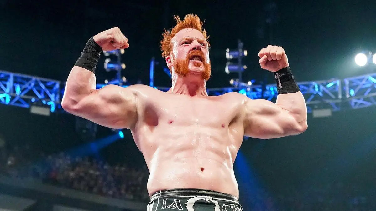 Sheamus Involved in Fan Incident Before WWE Clash in Paris